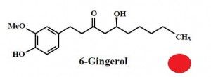 gingerol